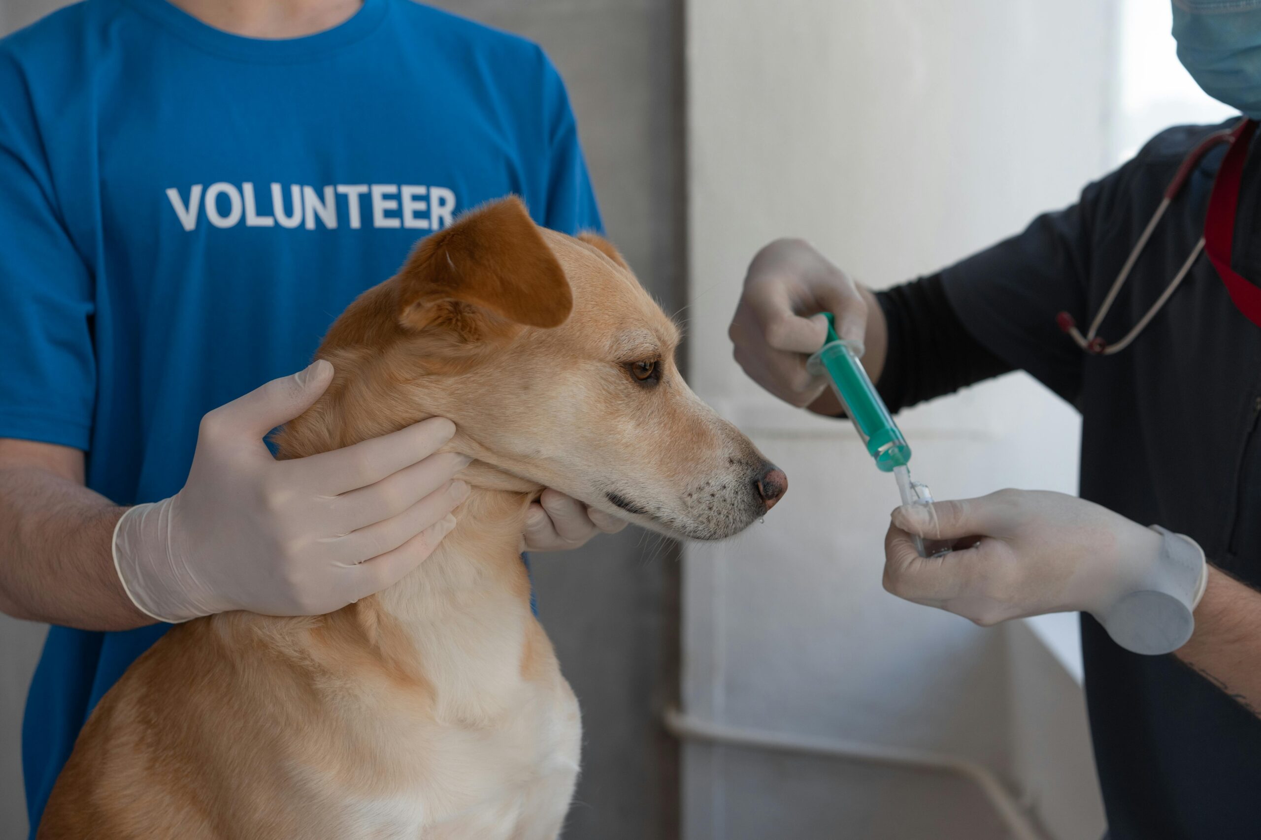 Does Pet Insurance Cover Vaccinations? 2026 Cost & Coverage Guide